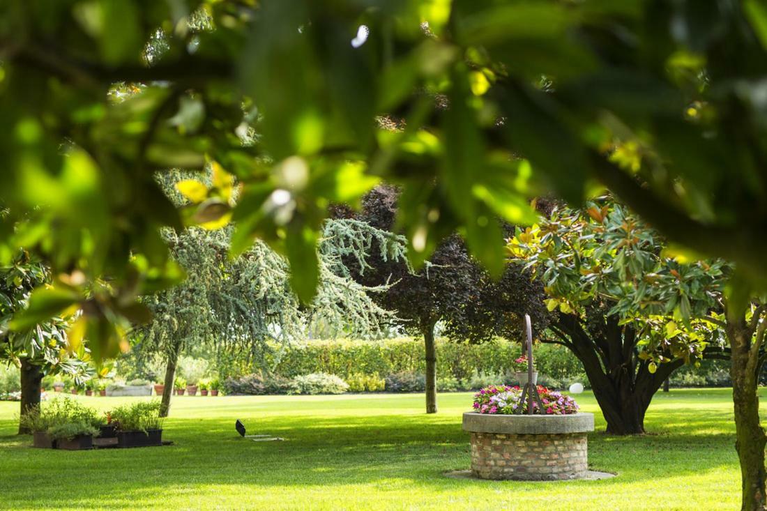 B&B Villa Tavanara Nogara Luaran gambar